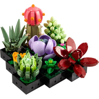 LEGO® ICONS SUCCULENTS - 10309