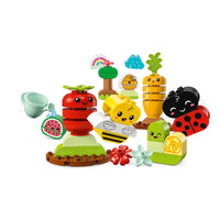 DUPLO® ORGANIC GARDEN - 10984