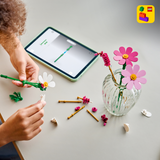 LEGO® Botanicals Cosmos Flowers - Building Set for Kids - Plant Decor - Flower Gift Idea for Girls, Boys and Nature Lovers - LEGO Floral Arrangement with 3 Cosmos and 2 Fountain Grass Stems - 11514