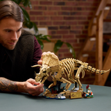 LEGO® Jurassic World Dinosaur Fossils: Triceratops - Posable Dinosaur Building Set - Jurassic Park Merch with a Minifigure - Skeleton Figure Kit for Adults - Gift Idea for Ages 18+ - 77985