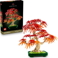 JAPANESE RED MAPLE BONSAI TREE - 10348