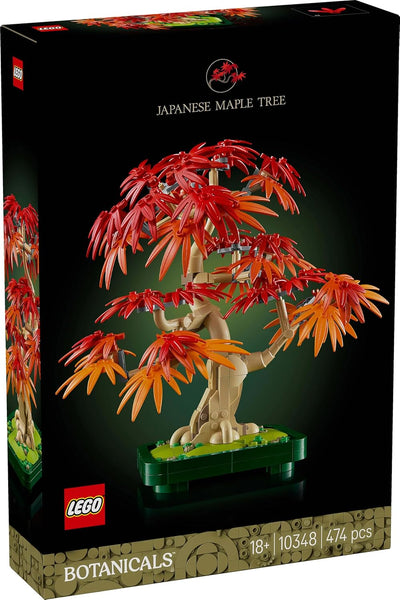 JAPANESE RED MAPLE BONSAI TREE - 10348