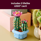 FLOWERING CACTUS - 11509