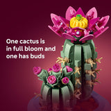 FLOWERING CACTUS - 11509