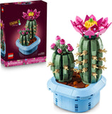 FLOWERING CACTUS - 11509