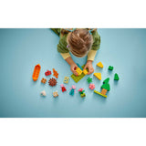 DUPLO® CAMPING TRIP - 10452