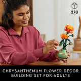 CHRYSANTHEMUM - 10368