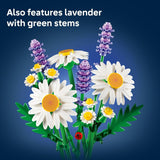 DAISES - 11508