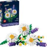 DAISES - 11508