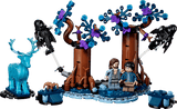 HARRY POTTER™ FORBIDDEN FOREST™: EXPECTO PATRONUM  -  76475
