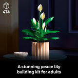 PEACE LILY - 11504