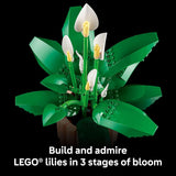 PEACE LILY - 11504