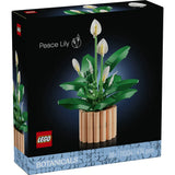 PEACE LILY - 11504