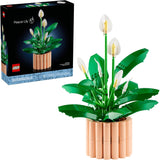 PEACE LILY - 11504
