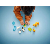 DUPLO® WILD ANIMALS FAMILIES: PENGUINS & LIONS - 10442