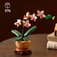 MINI ORCHID - 10343