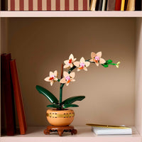 MINI ORCHID - 10343