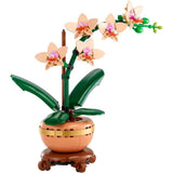 MINI ORCHID - 10343