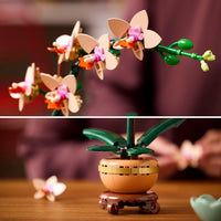 MINI ORCHID - 10343