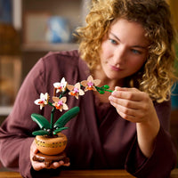 MINI ORCHID - 10343