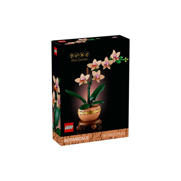 MINI ORCHID - 10343