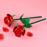 ROSES - 40460