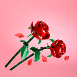 ROSES - 40460