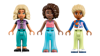 FRIENDS HAIR SALON AND ACCESSORIES STORE - 42662