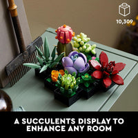 SUCCULENTS - 10309