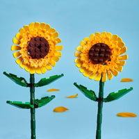 SUNFLOWERS - 40524