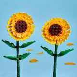 SUNFLOWERS - 40524